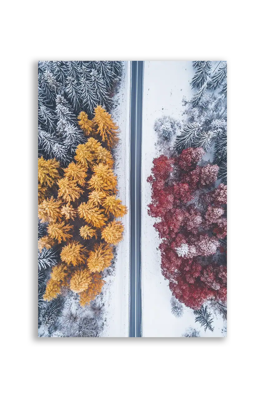 Akustikbillede med dronefoto af en vej mellem orange og rød efterårsskov