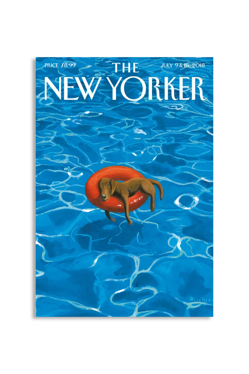 Akustikbillede med The NewYorker-motiv nr. 153