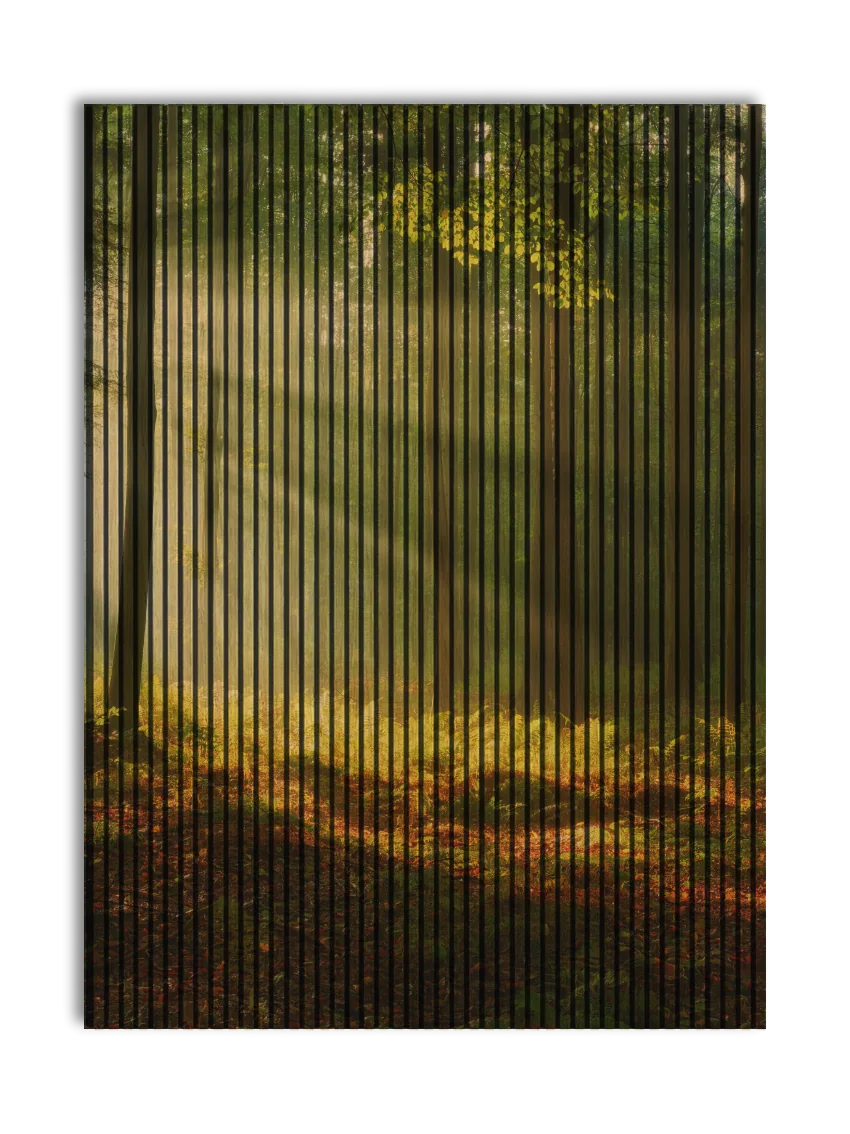 Akustikpanel med Landscapes-motiv nr. 1