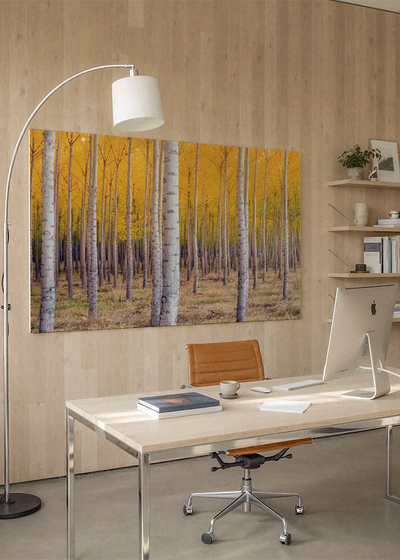 Akustikbillede med birkeskov med gule efterårsblade og hvide stammer, på hjemmekontor med hvidt skrivebord og buelampe