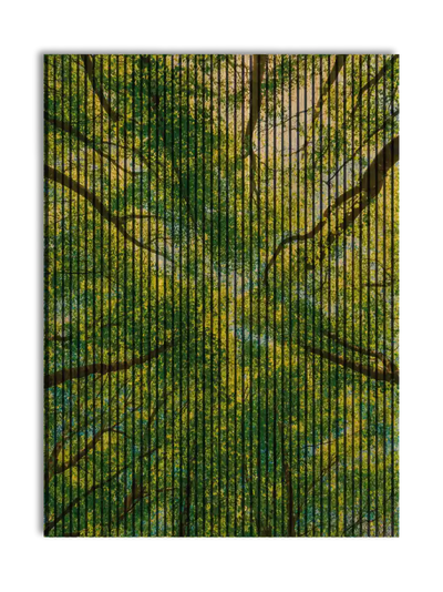 Akustikpanel med Landscapes-motiv nr. 22