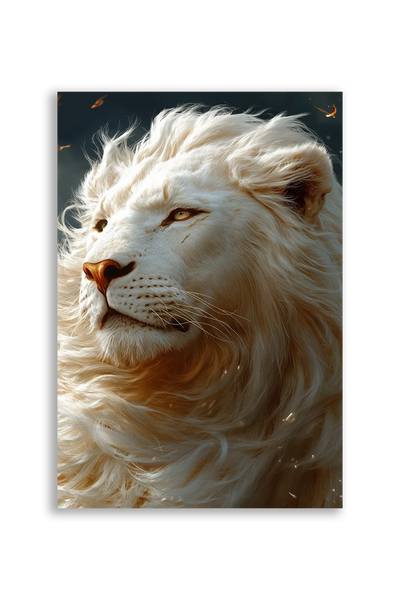 Lions NO. 1