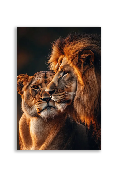 Lions NO. 5