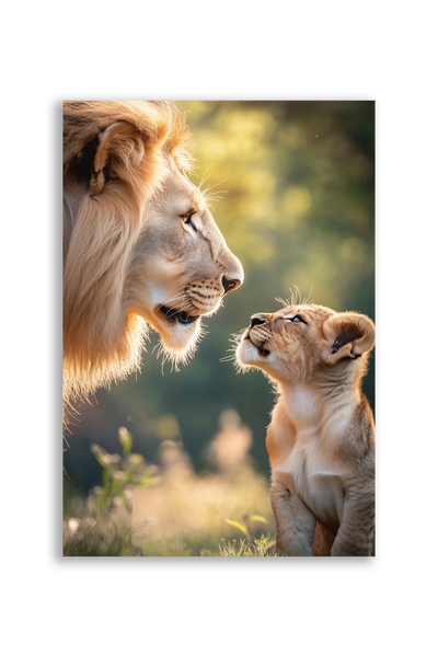 Lions NO. 7
