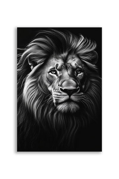 Lions NO. 15