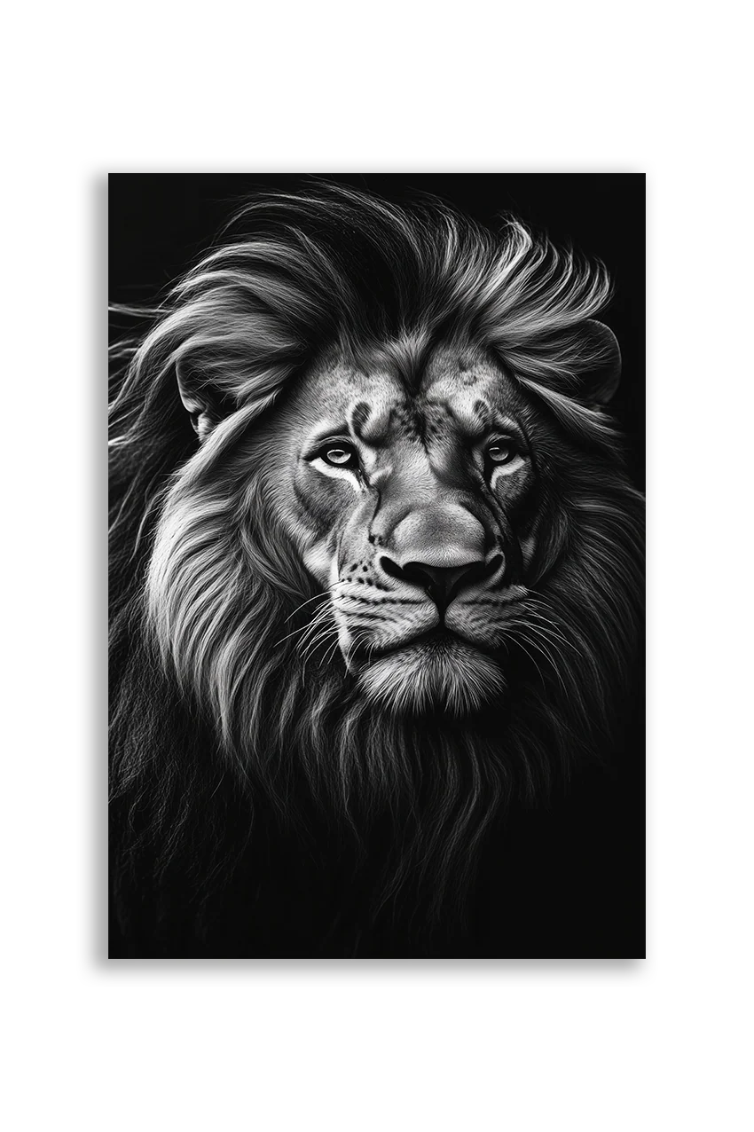 Lions NO. 15