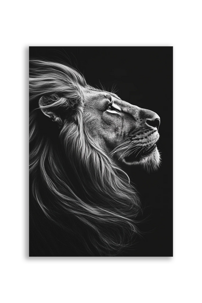 Lions NO. 16