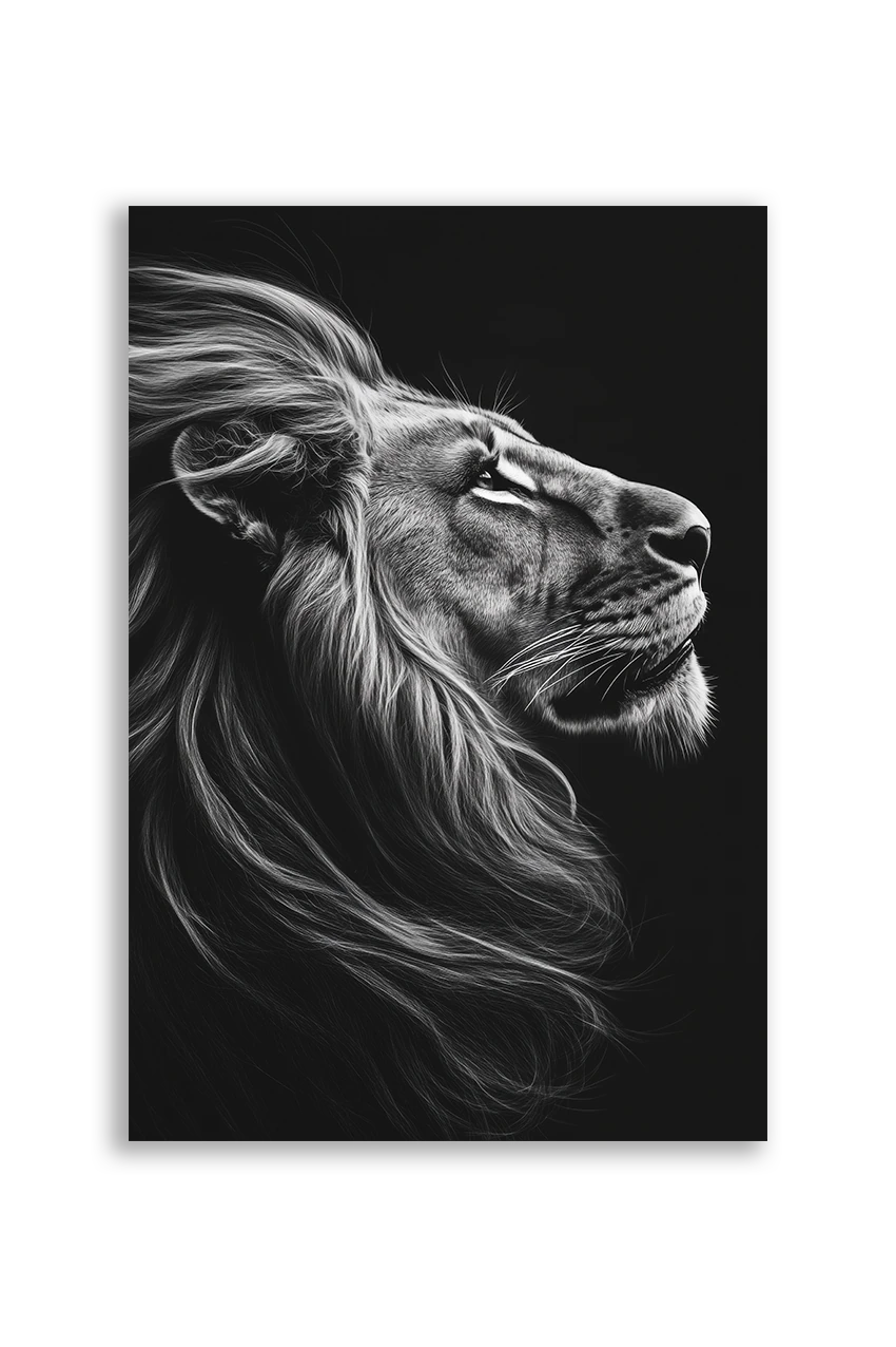 Lions NO. 16