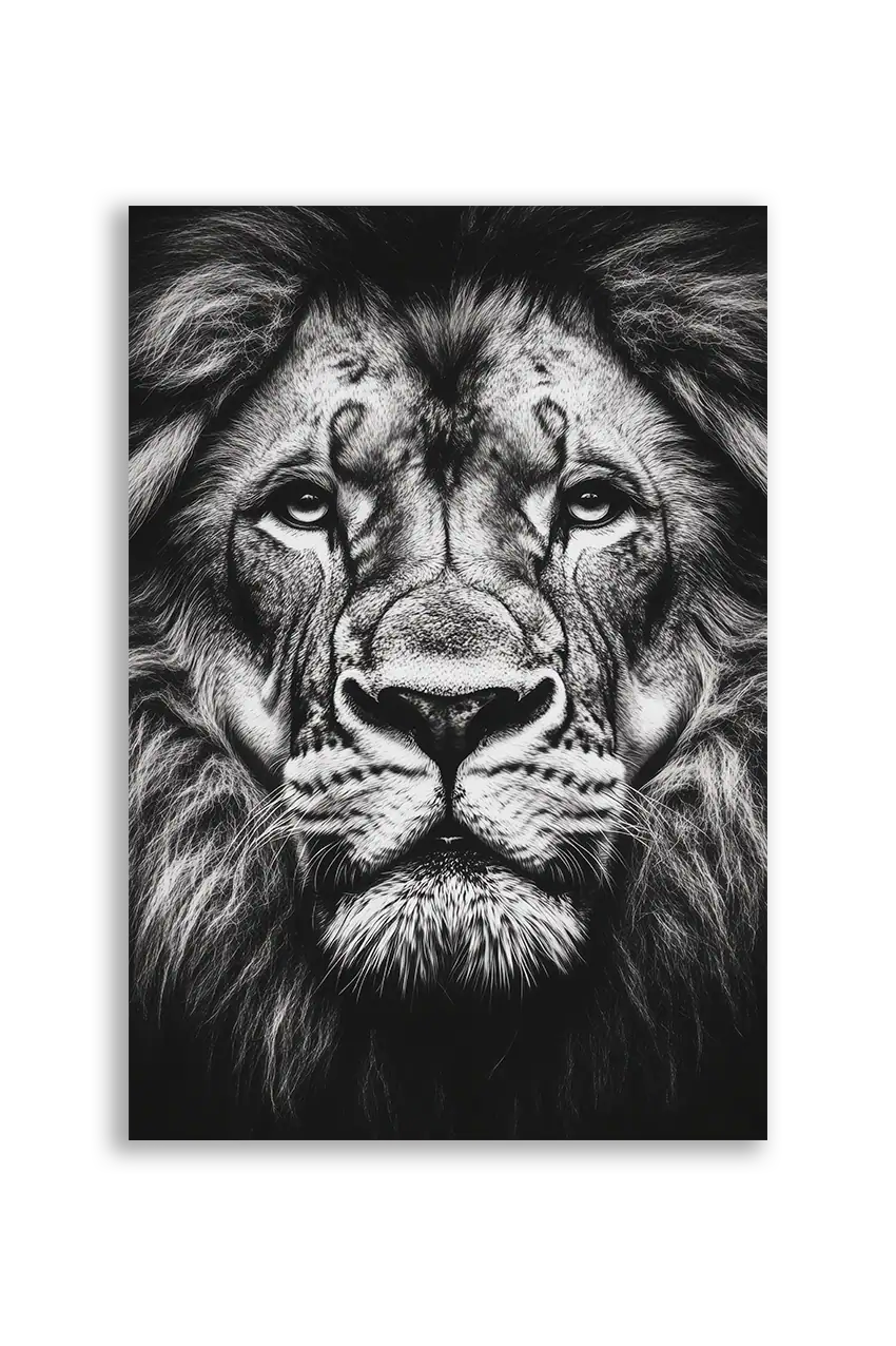 Lions NO. 21