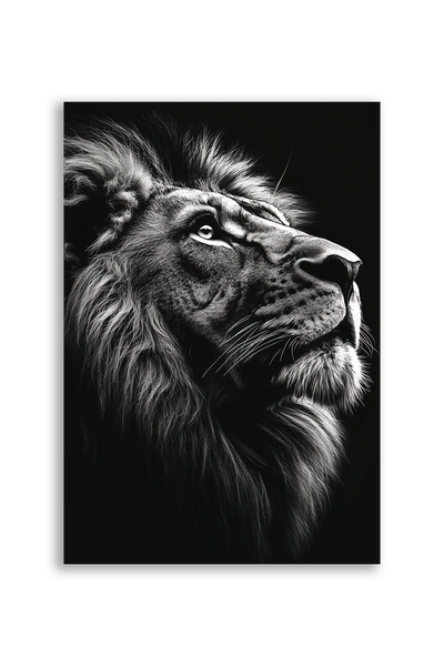 Lions NO. 23