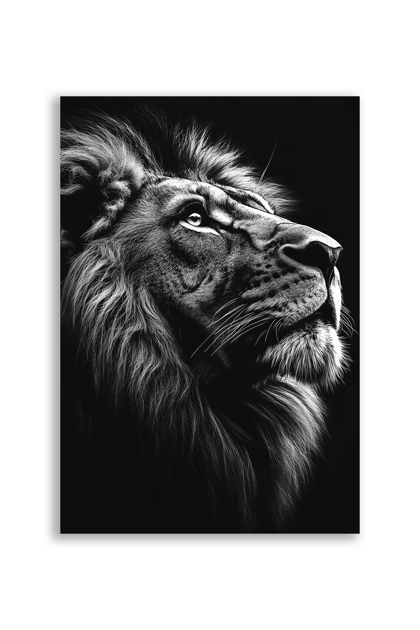 Lions NO. 23