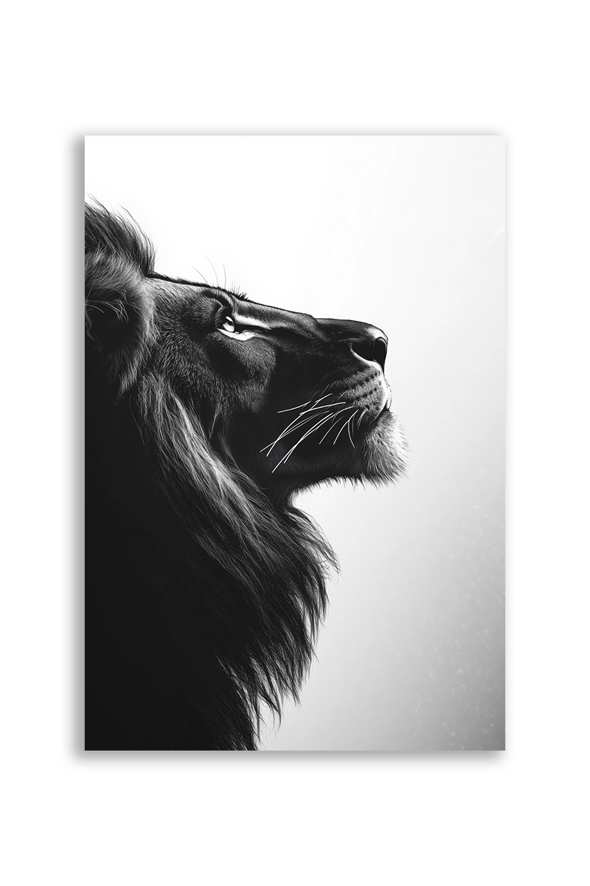Lions NO. 24