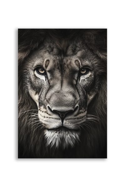 Lions NO. 28