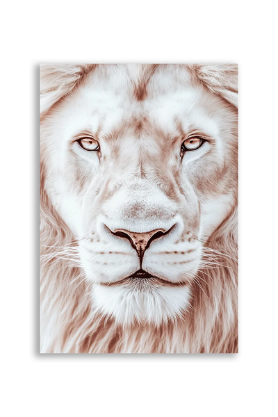 Lions NO. 29