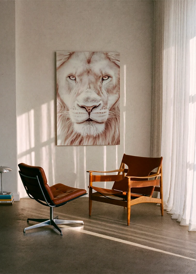 Lions NO. 29