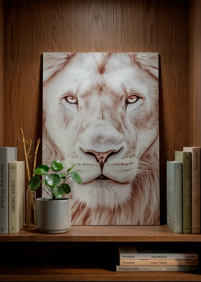 Lions NO. 29