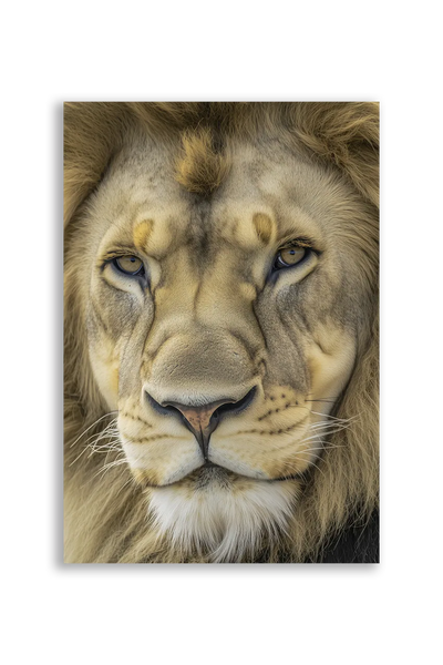 Lions NO. 30