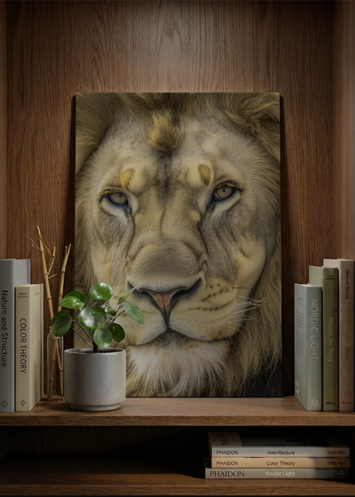 Lions NO. 30