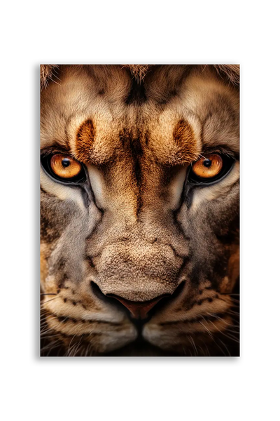 Lions NO. 31