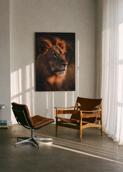 Lions NO. 34