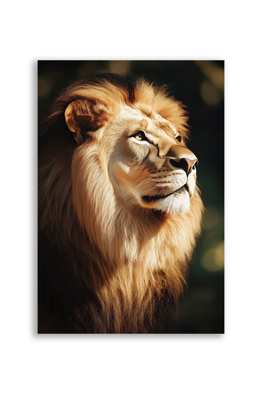 Lions NO. 36