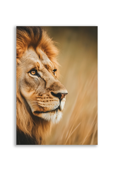 Lions NO. 37