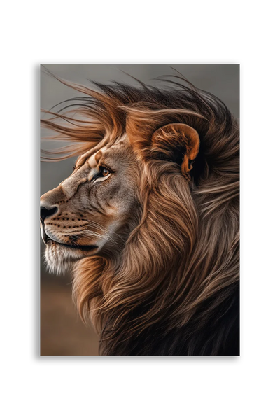 Lions NO. 41