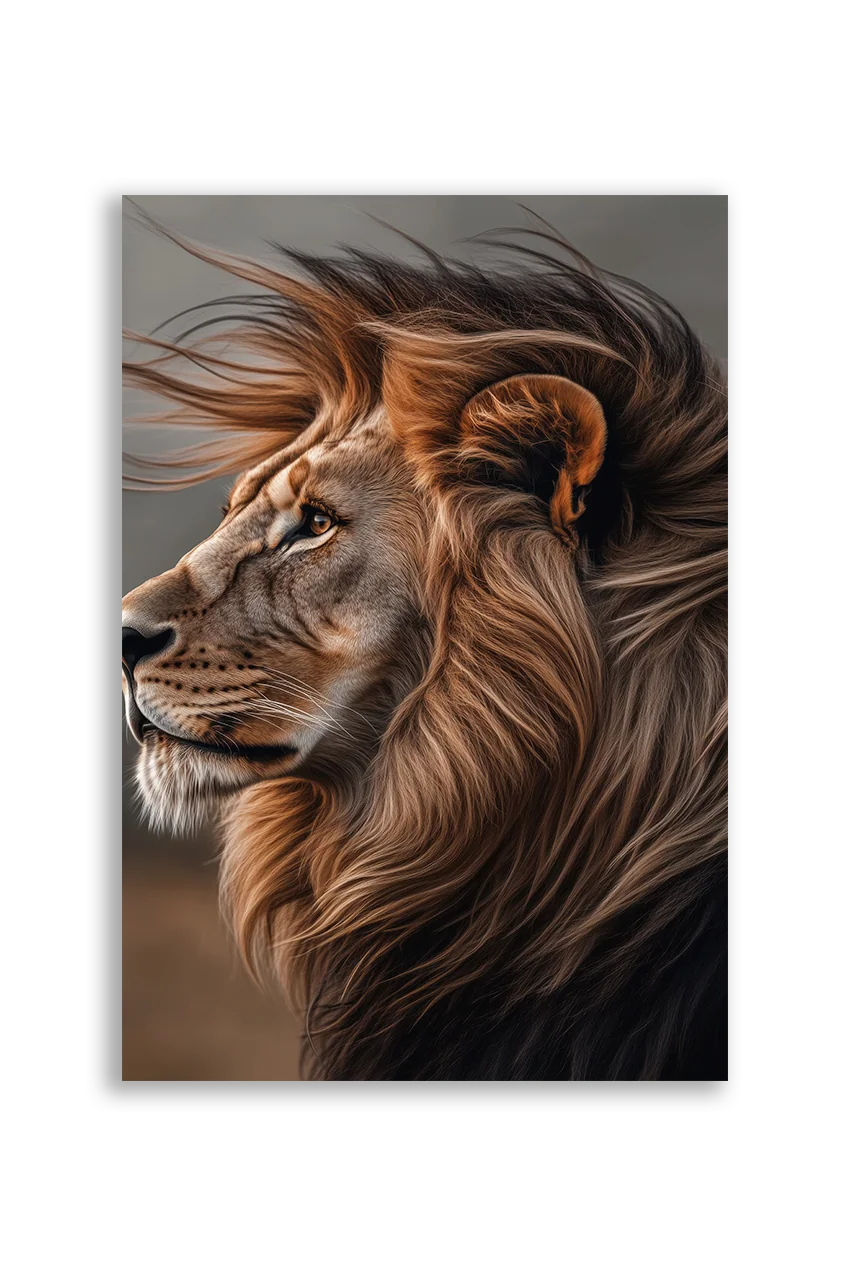 Lions NO. 41