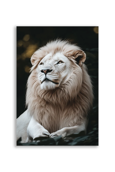 Lions NO. 43