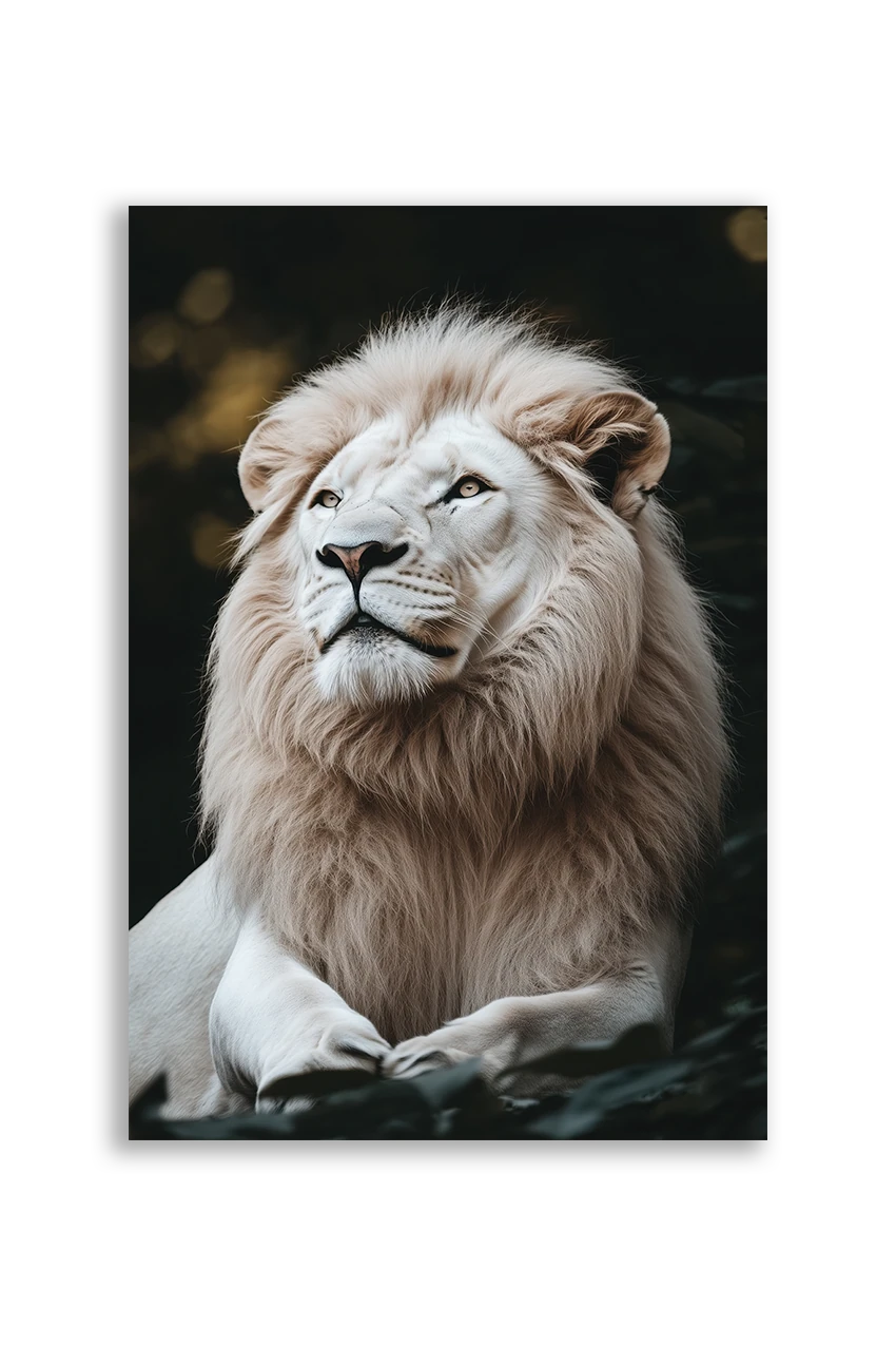 Lions NO. 43