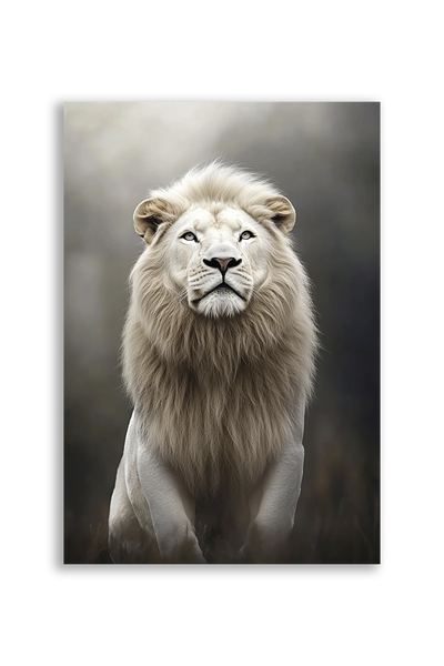 Lions NO. 44