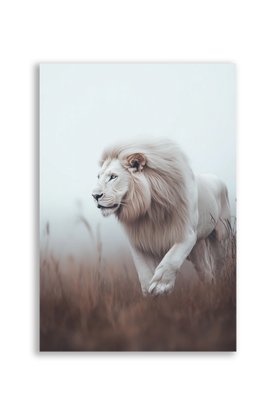 Lions NO. 45