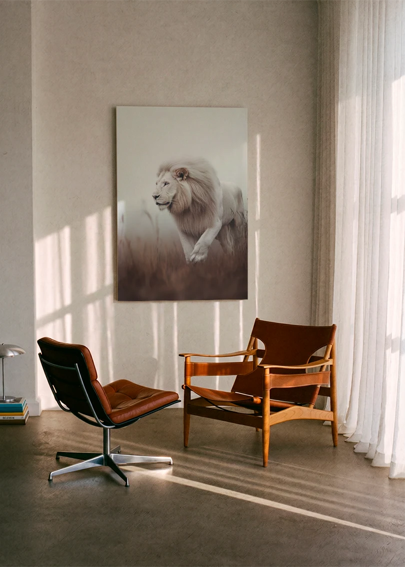 Lions NO. 45