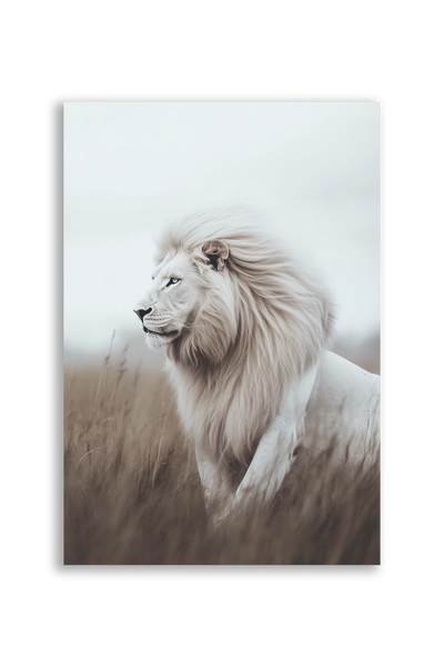 Lions NO. 46