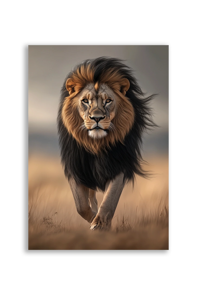 Lions NO. 49