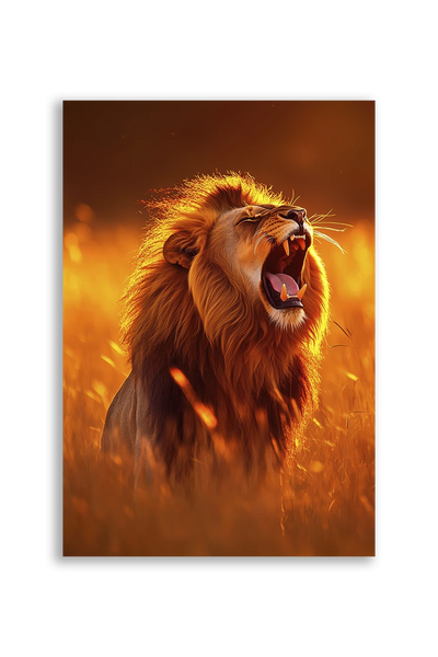 Lions NO. 52