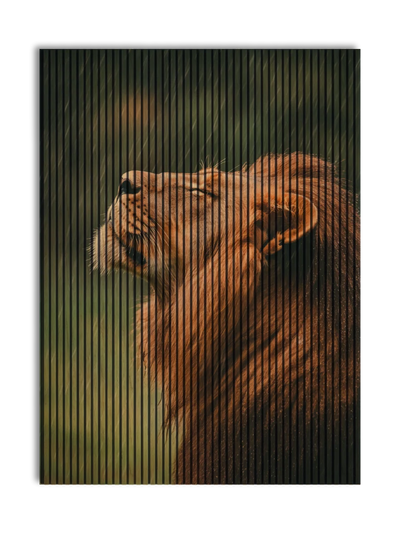Akustikpanel med Lions-motiv nr. 53