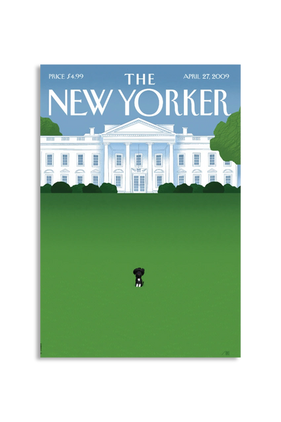 Akustikbillede med The NewYorker-motiv nr. 34