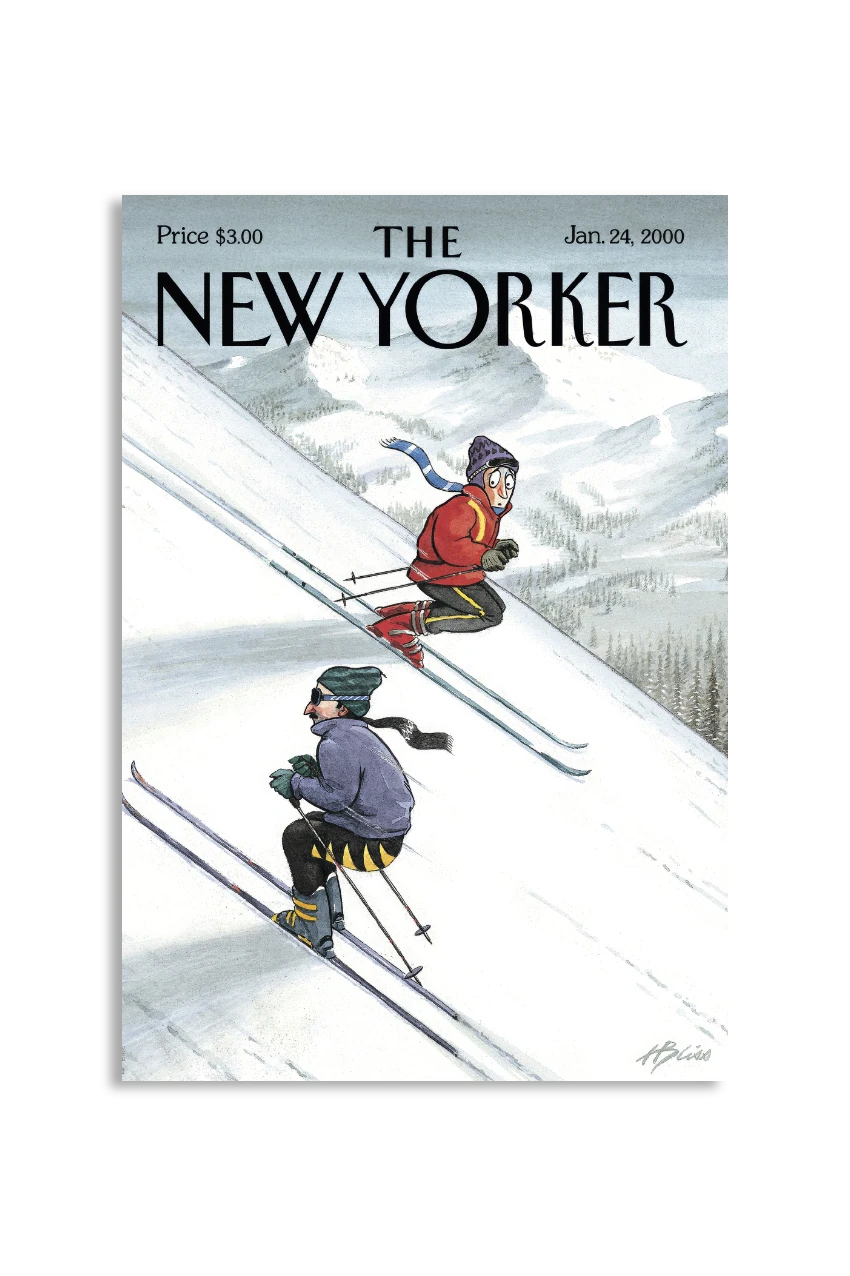 Akustikbillede med The NewYorker-motiv nr. 89