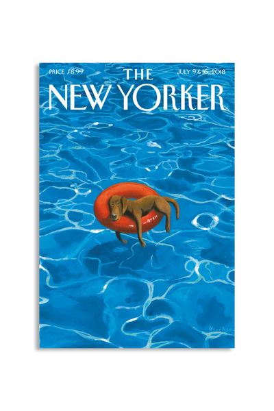 Akustikbillede med The NewYorker-motiv nr. 153